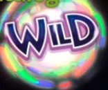 Wild (Rainbow)