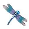 Libelle